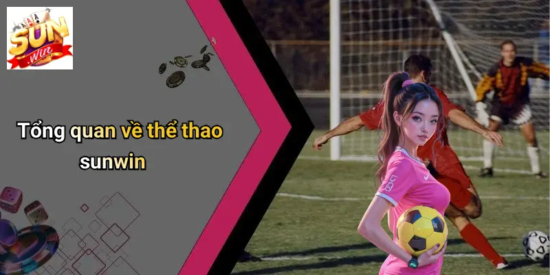 Sunwin Sports football overview – Tổng quan về thể thao Sunwin